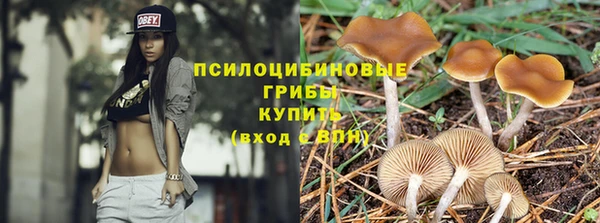 СК Богданович