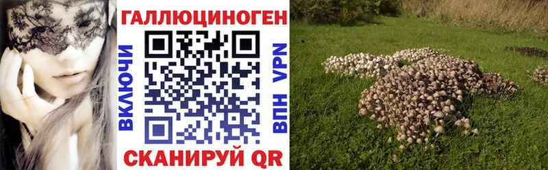 Галлюциногенные грибы Psilocybine cubensis  Костомукша 